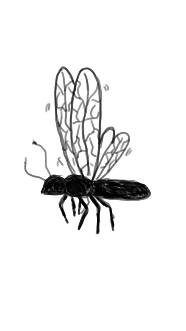 Fly Bug Deviantart FLYING INSECT by loribabygirl on DeviantArt