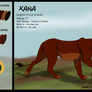 Xana Reference Sheet 2018