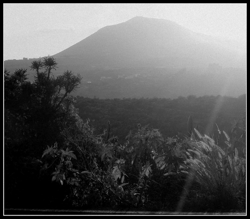 Sunset in black and white