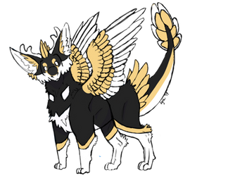 Jyaki Student Digital Artist Deviantart