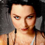 Amy lee