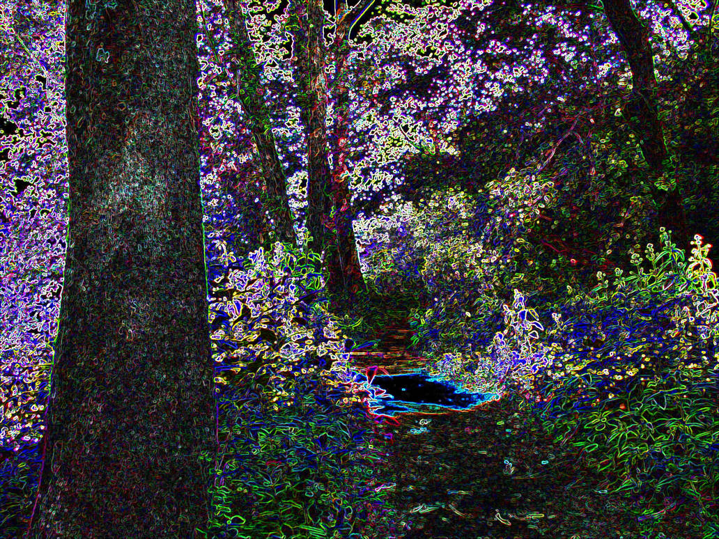 Lsd Visuals Tree Too much LSD in the woods by margaret1234 on DeviantArt
