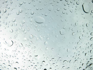 Rain Drops