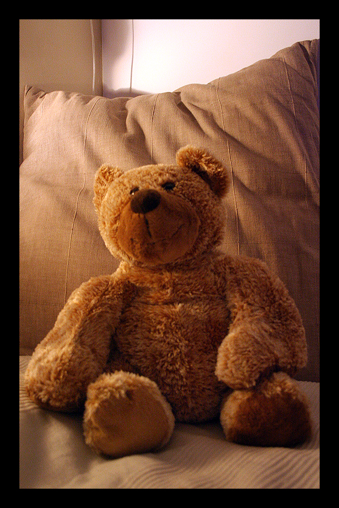 Teddy