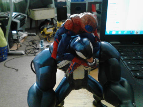 Spidey and Venom Just Chillin