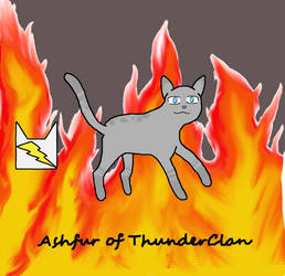 Ashfur of ThunderClan