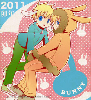 Bunny year