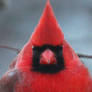 Northern Cardinal