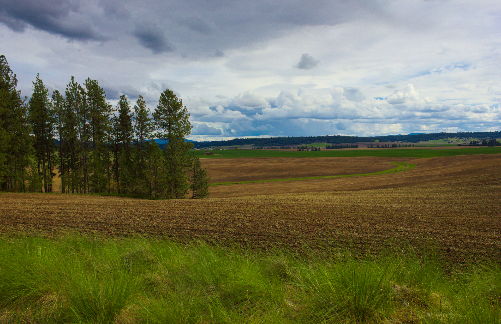 Unincorporated Farming Community Skyline