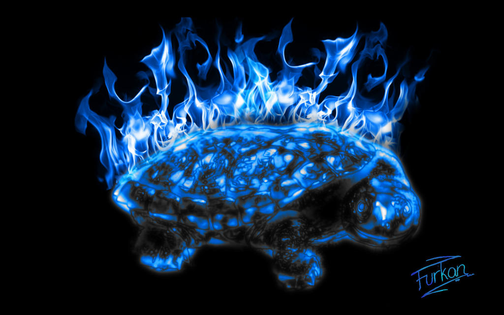 Fire Turtle by furkan117 on DeviantArt