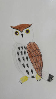 Owl You Glad I drew this ?