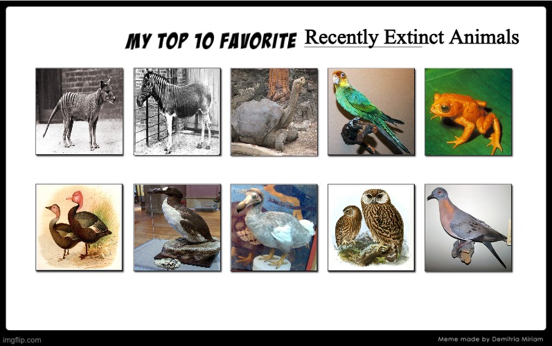 Top 10 Favorite Recently Extinct Animals by GREENTEEN80 on DeviantArt