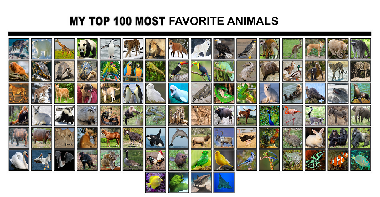 hurtig forståelse Michelangelo My Top 100 Animals by GREENTEEN80 on DeviantArt