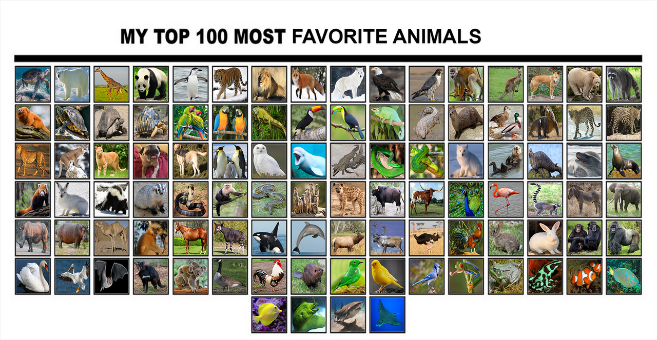 All Animals Deviantart My Top 100 Animals by GREENTEEN80 on DeviantArt