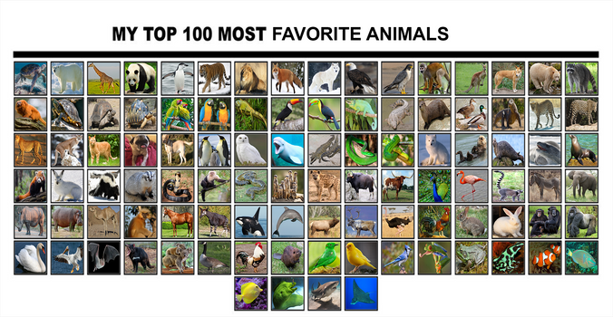 My Top 100 Animals