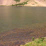 The lake shore_2