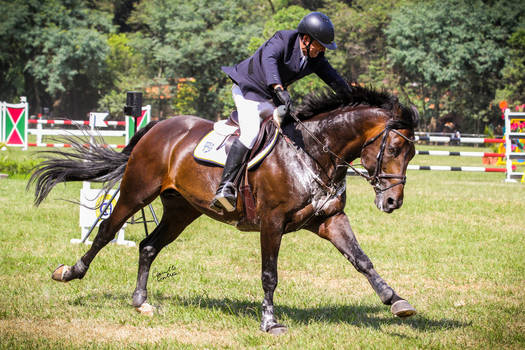 Torneio de Verao CHSA 2017