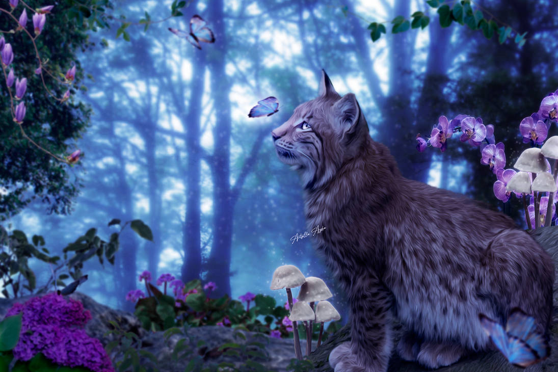 Lynx In Magical Forest