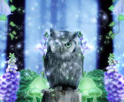 Owl in Magic Forest
