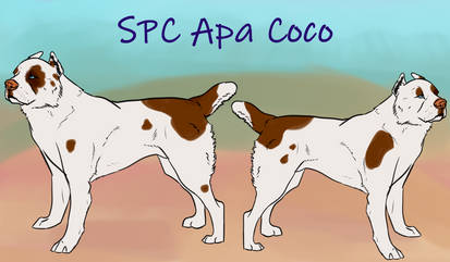 SPC Apa Coco