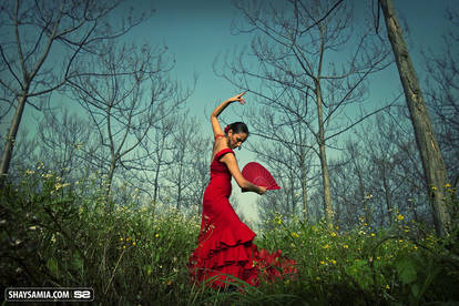 Flamenco I