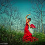 Flamenco I