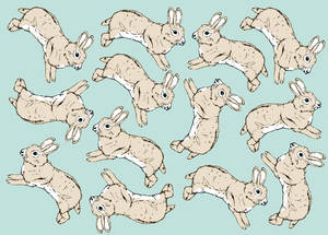 Rabbit Pattern 1