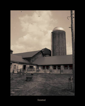 The farm