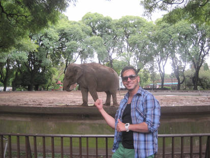 ME AND THE ELEPHANT