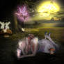 Fairy Dreams