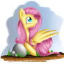 Just Fluttershy