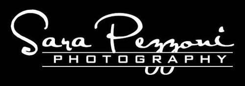 SPP Logo by xthumbtakx