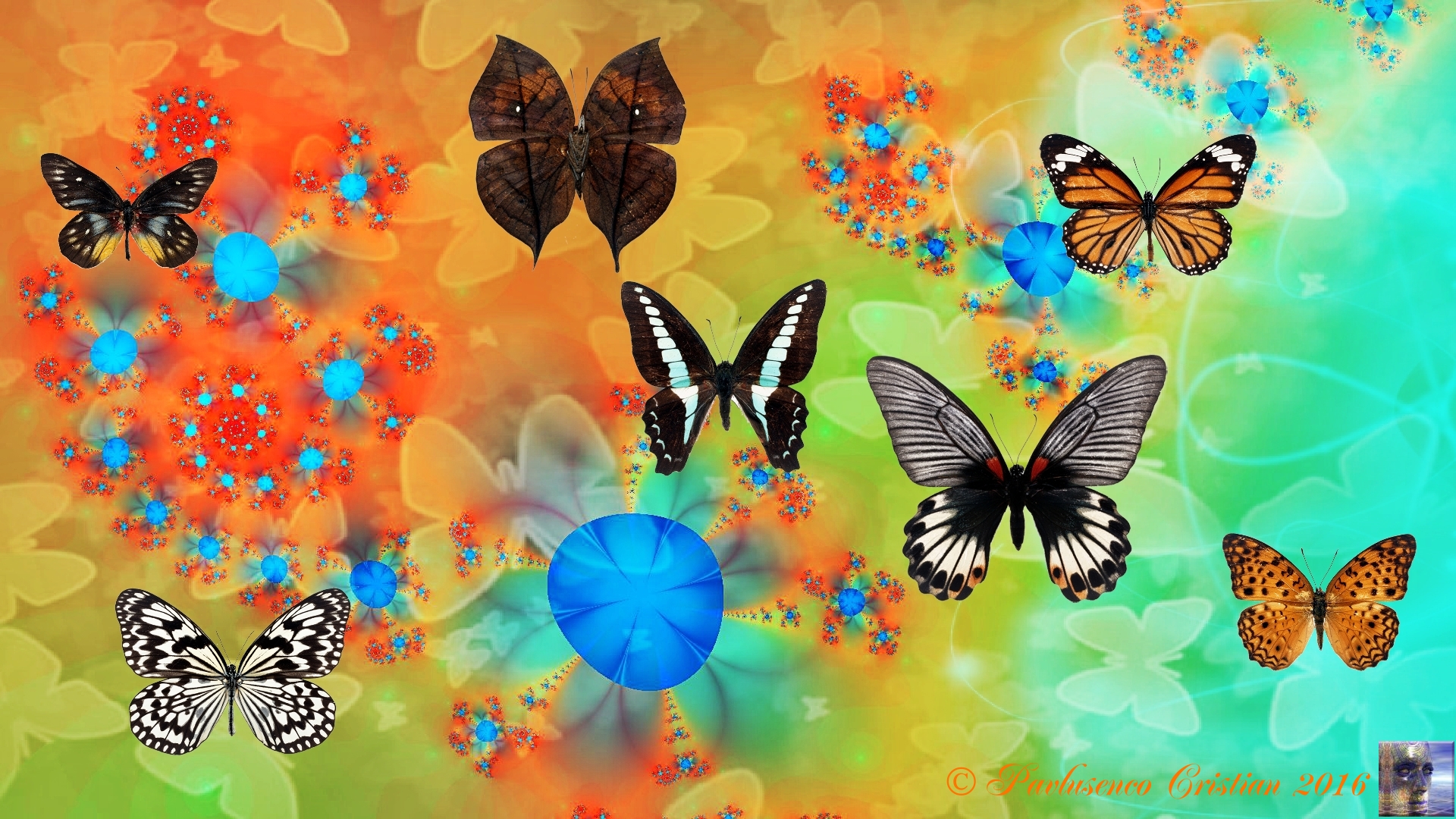 Blue blosoms and butterflies