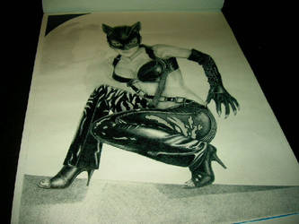 My Catwoman in the process