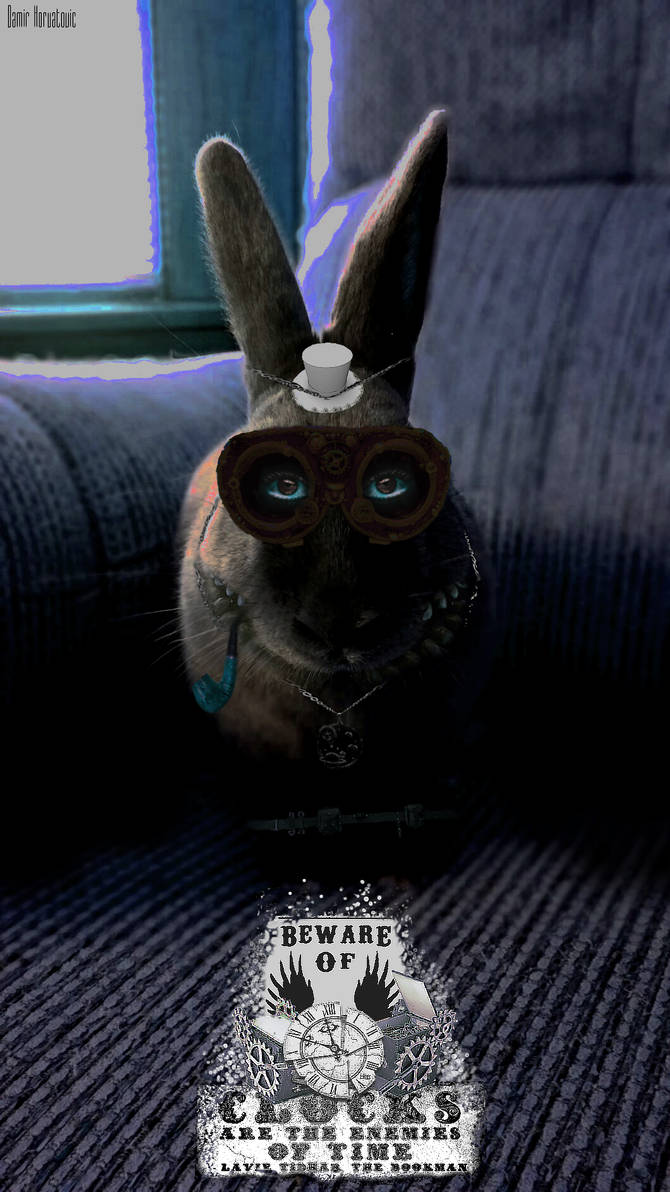 Rabbit timetraveller by Mirda76 on DeviantArt