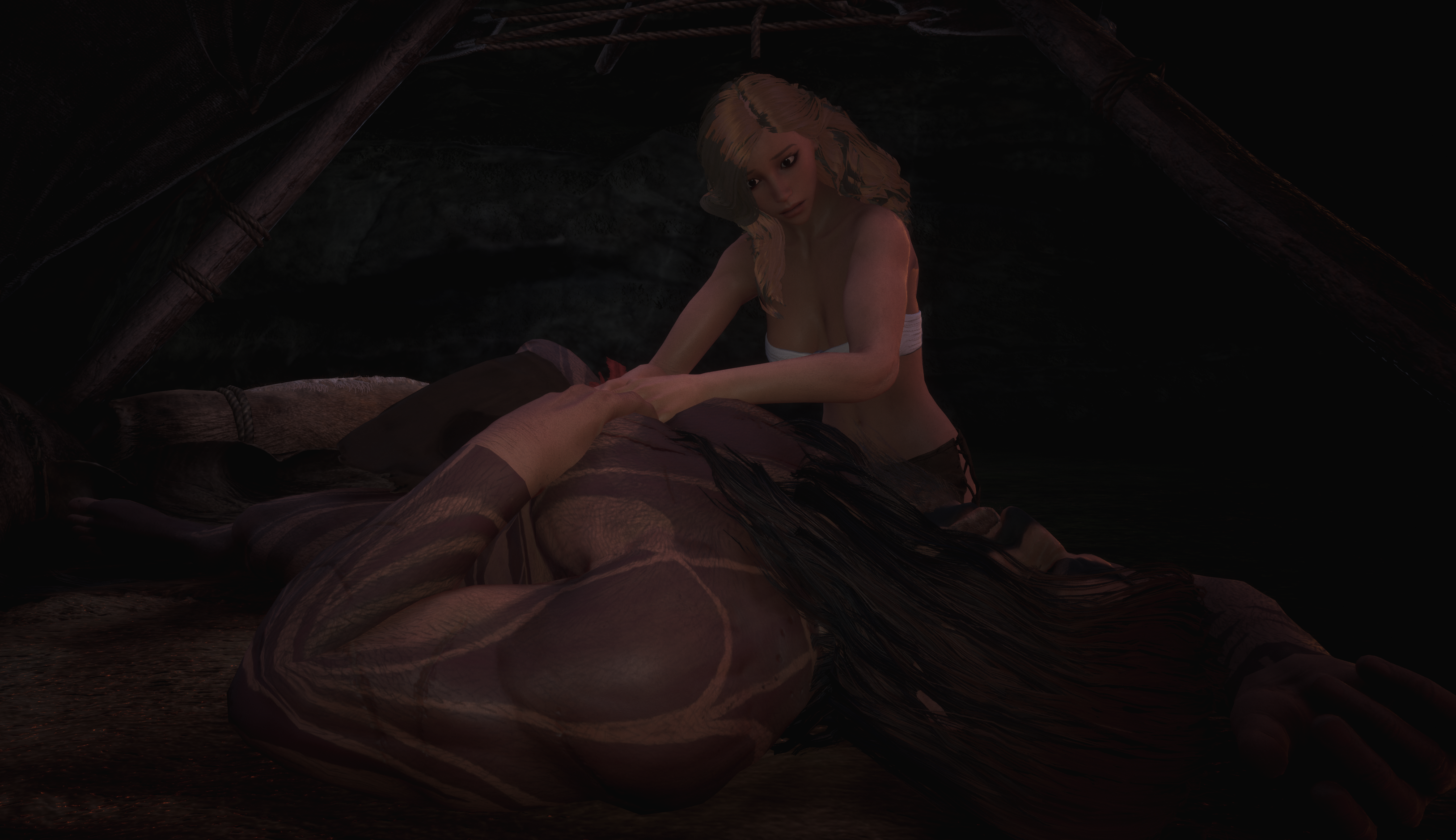 Sarah's Companion 2