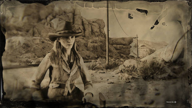 Red Dead Redemption Online