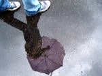 puddle reflection by Mustardplz