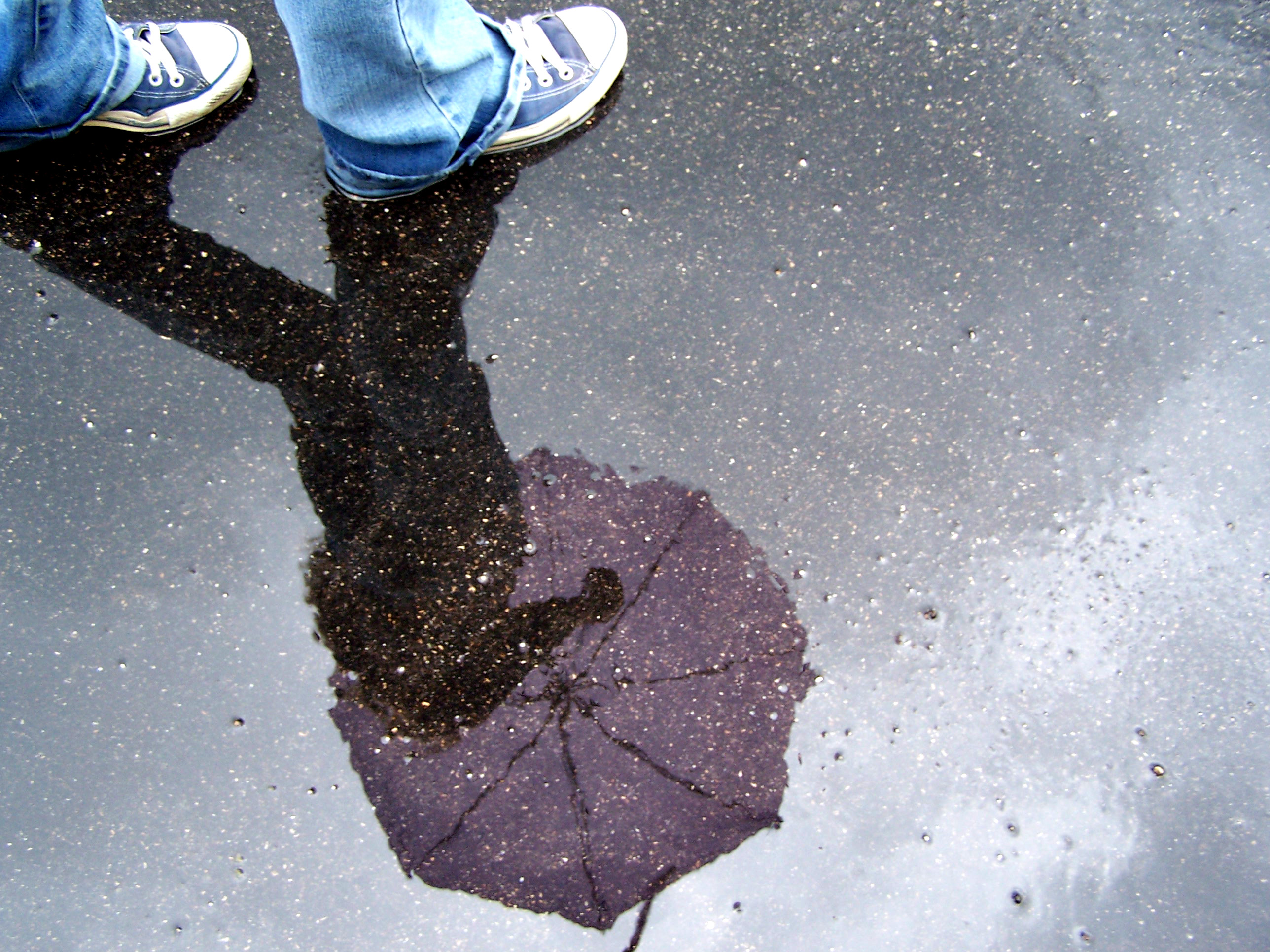 puddle reflection by Mustardplz on DeviantArt