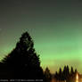 New Hampshire aurora