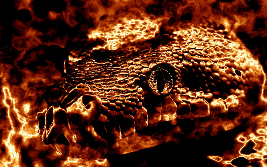 Fire Color Snake Fire Snake Wallpaper by softmage on DeviantArt