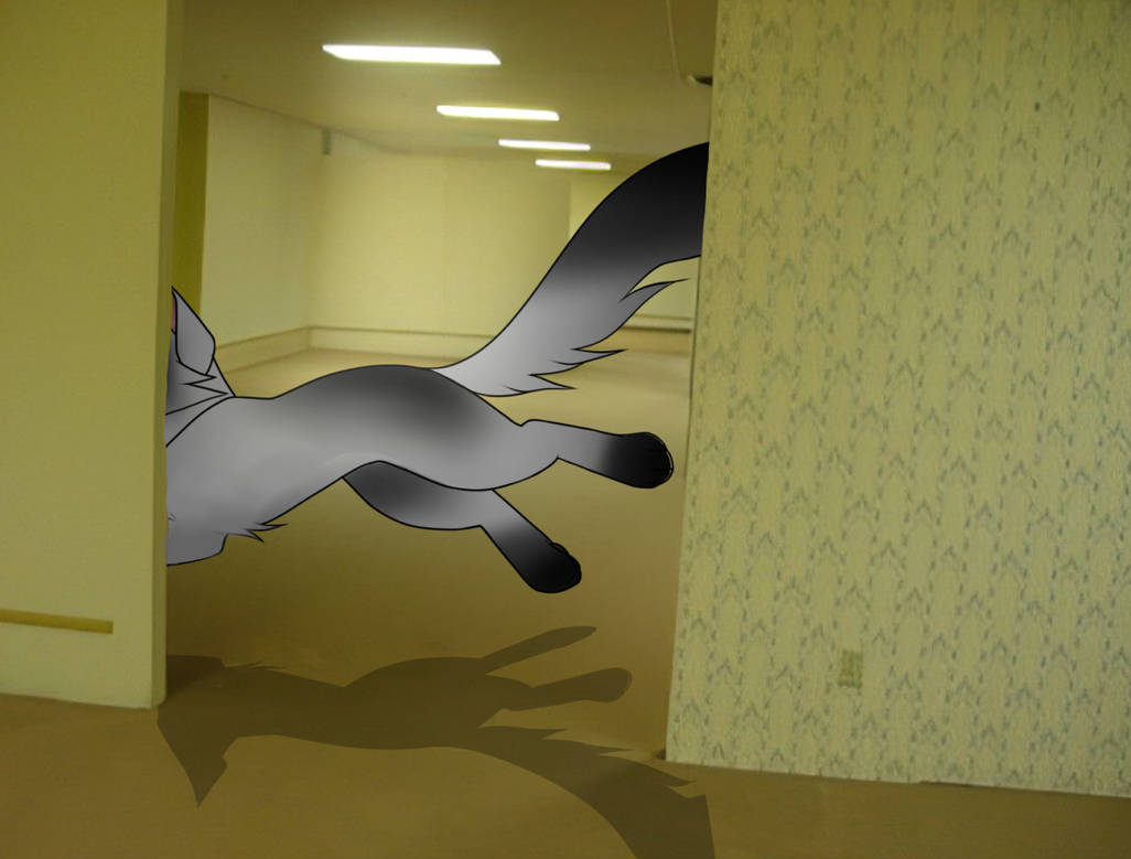 Cat in backrooms by https1Corri on DeviantArt