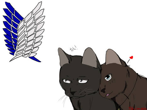 Ereri cat