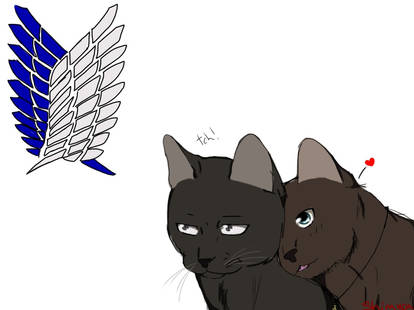 Ereri cat