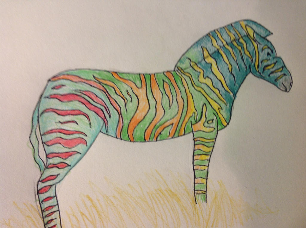 Analogous Zebra