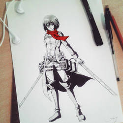 Mikasa