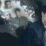 Supernatural - Castiel