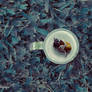 Rutinas vacias Empty Routines
