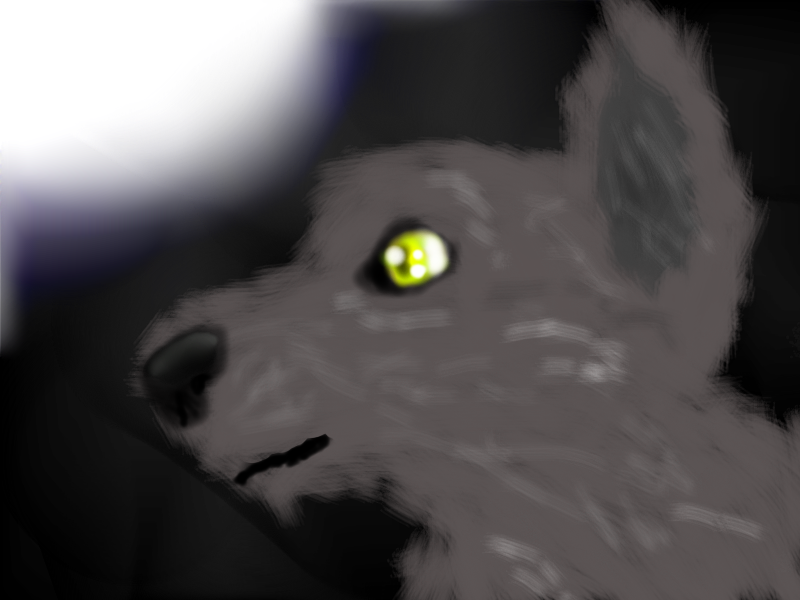 realistic wolf (im proud of finish)