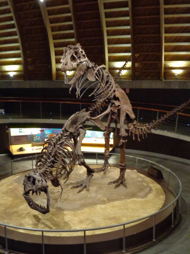 T Rex Reproduction System Mating T-rex couple 01 by Beledra on DeviantArt